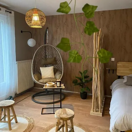 L'esprit Zen: Tranquil Center In Apartment Verdun-sur-Meuse