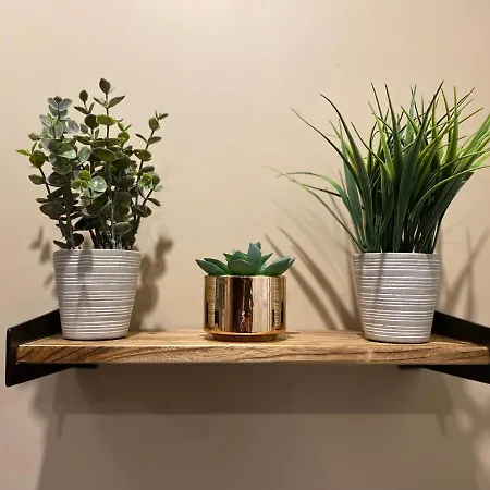 L'esprit Zen: Tranquil Center In Apartment Verdun-sur-Meuse