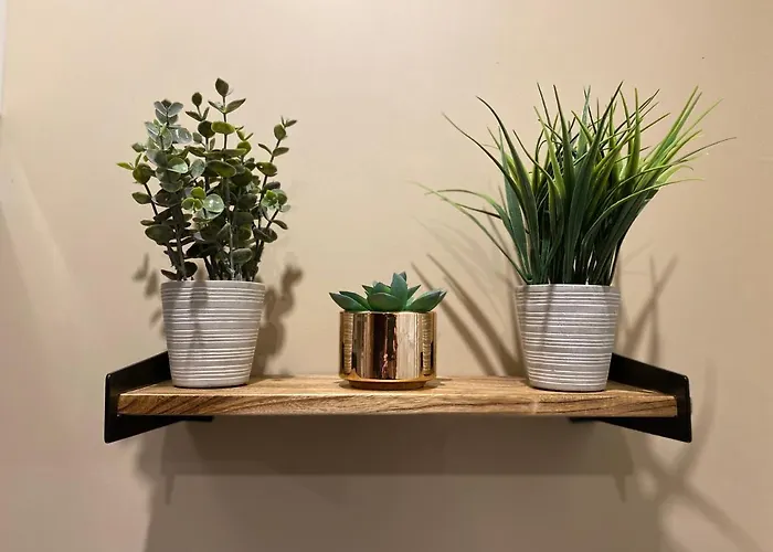 L'esprit Zen - Relaxant - Confort - Centre - Parking Proche - Gere Par Presta-zen'services Lägenhet Verdun-sur-Meuse